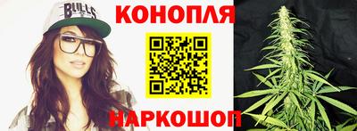 крисы Славгород