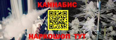 крисы Славгород