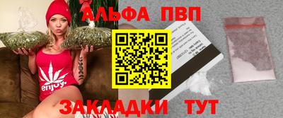 крисы Славгород