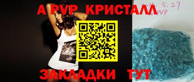 крисы Славгород